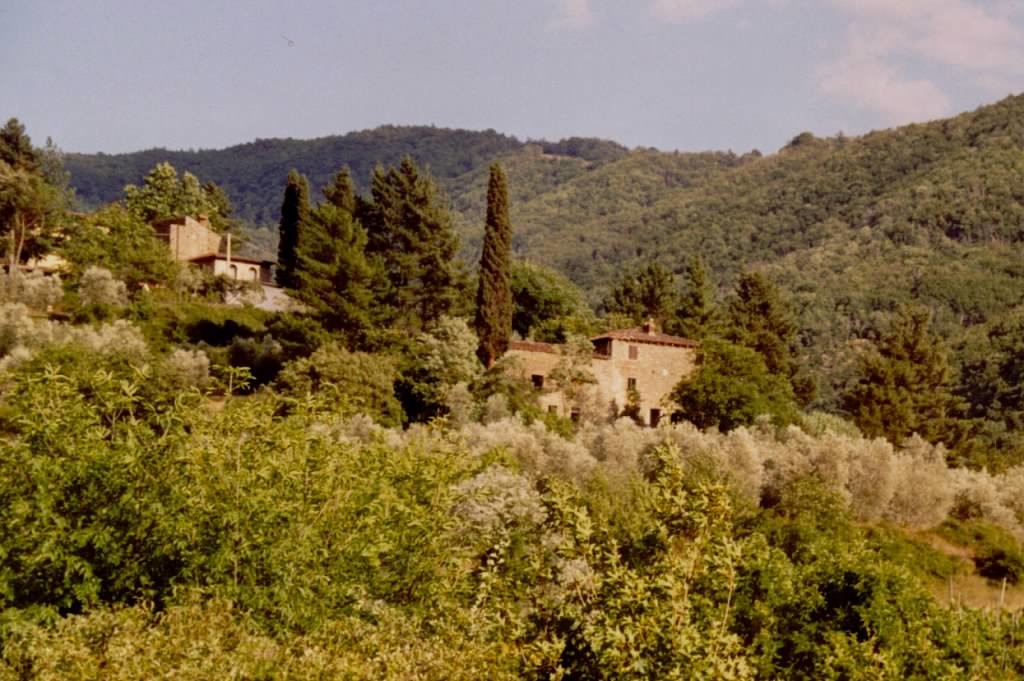 Villa Imovilla